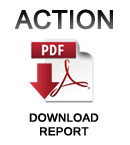 ACTION report: PDF download