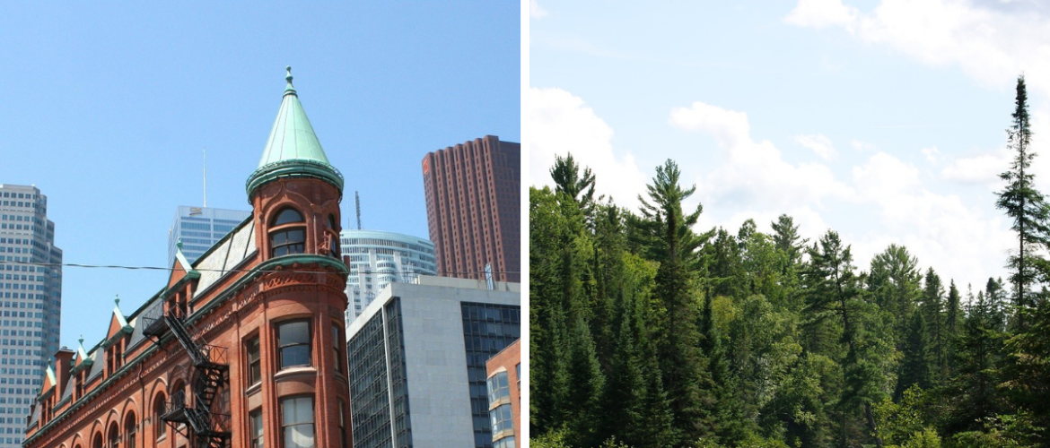 A double image of Downtown Toronto and Algonquin park