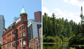 A double image of Downtown Toronto and Algonquin park