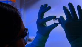 public health scientist, holding up a glass slide used for a run on a sequencing machine